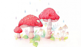 小蘑菇视频,探秘奇妙菌类世界的奇幻之旅