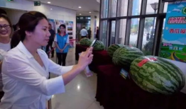 定州吃瓜事件最新爆料新闻,最新爆料揭示惊人内幕